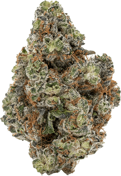 Wdding Ksh Mnts image 1